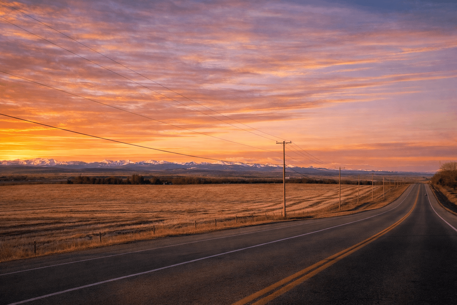 Springbank canola field with rural road signs at sunset.