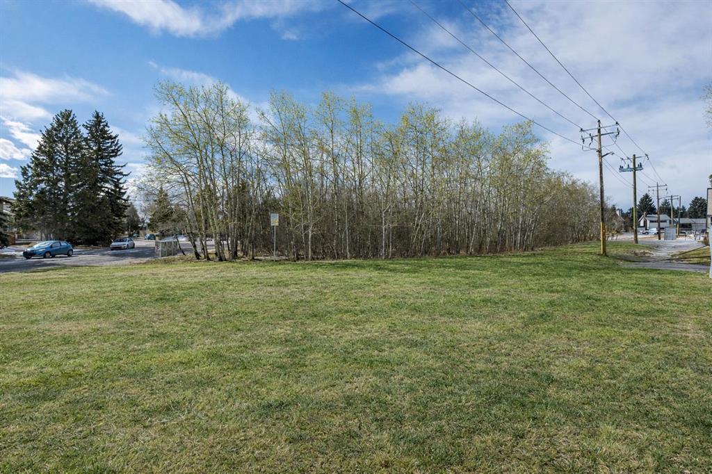 118 Brae Glen Lane SW photo 5