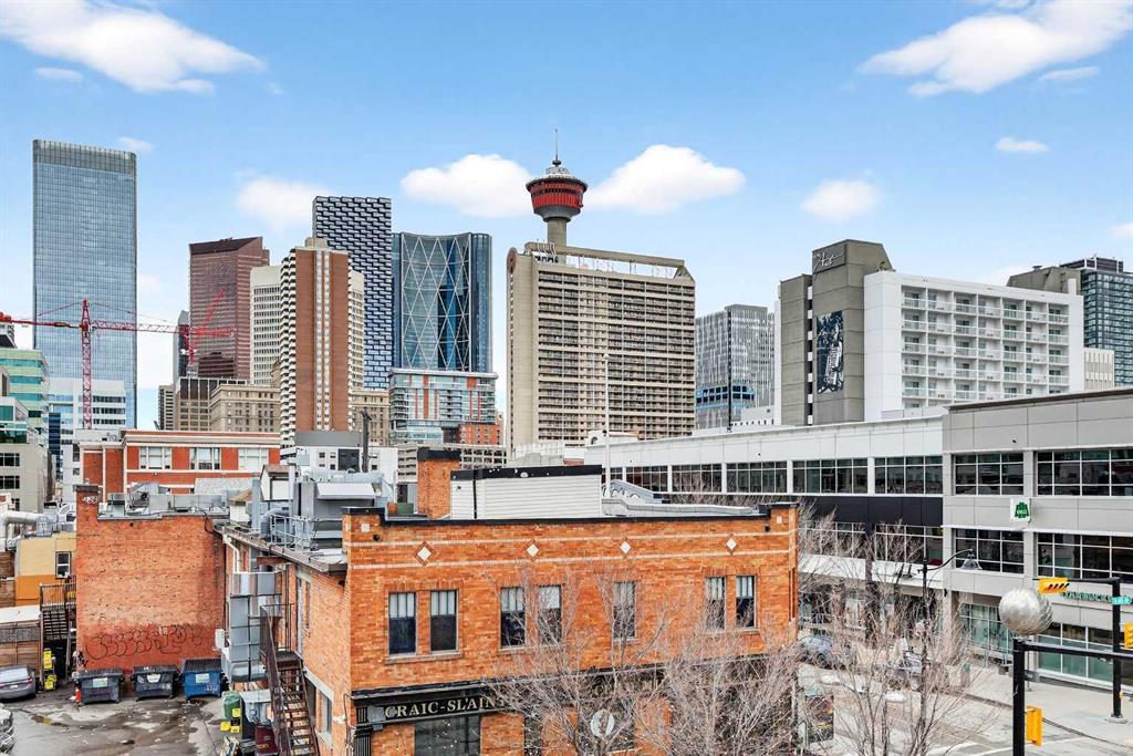 215 13 Avenue SW #302 photo 3