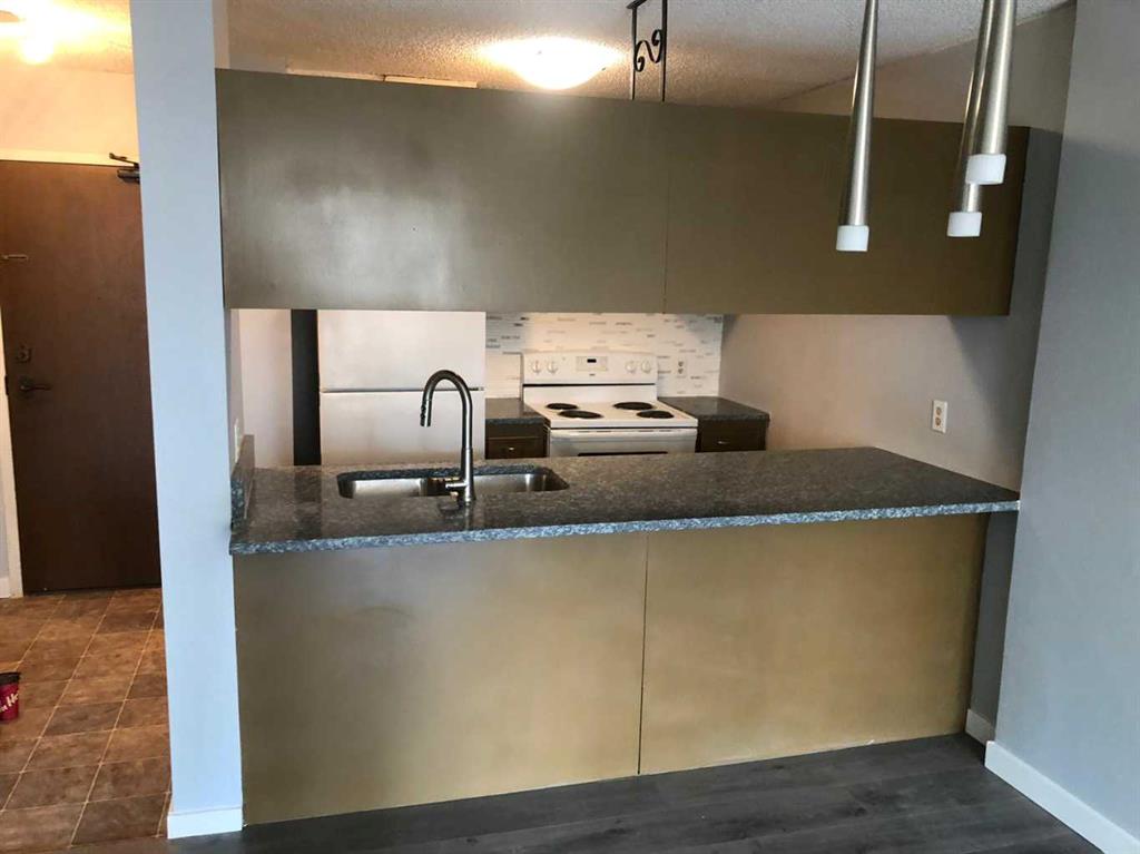 738 3 Avenue SW #402 photo 4