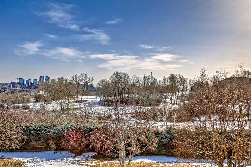 520 Cedar Crescent SW #202 photo 3