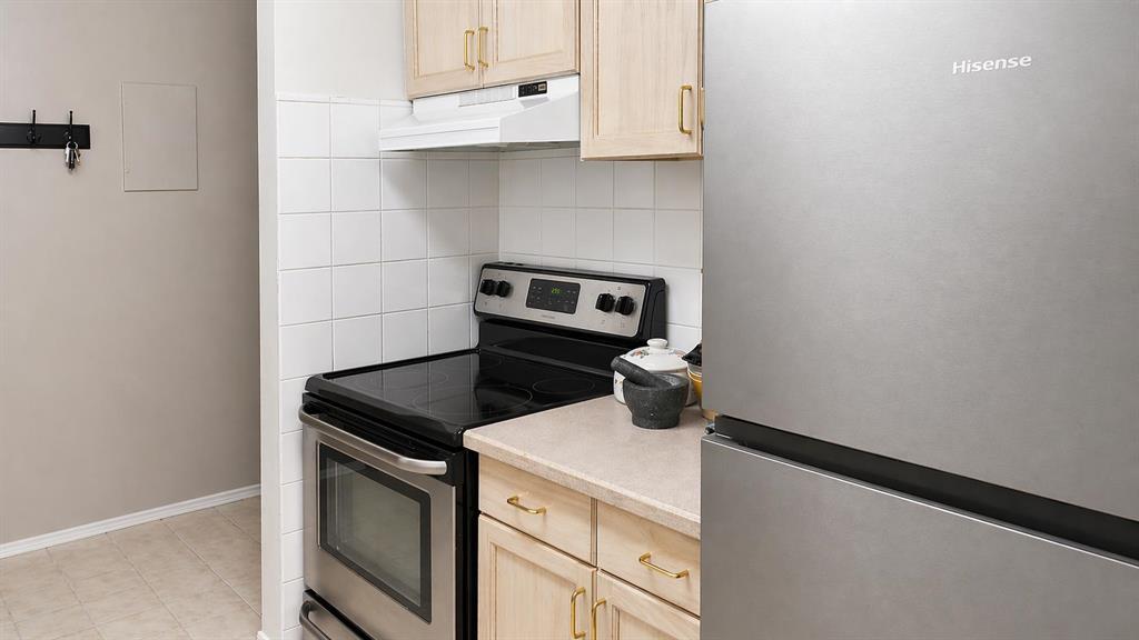 723 57 Avenue SW #215 photo 5