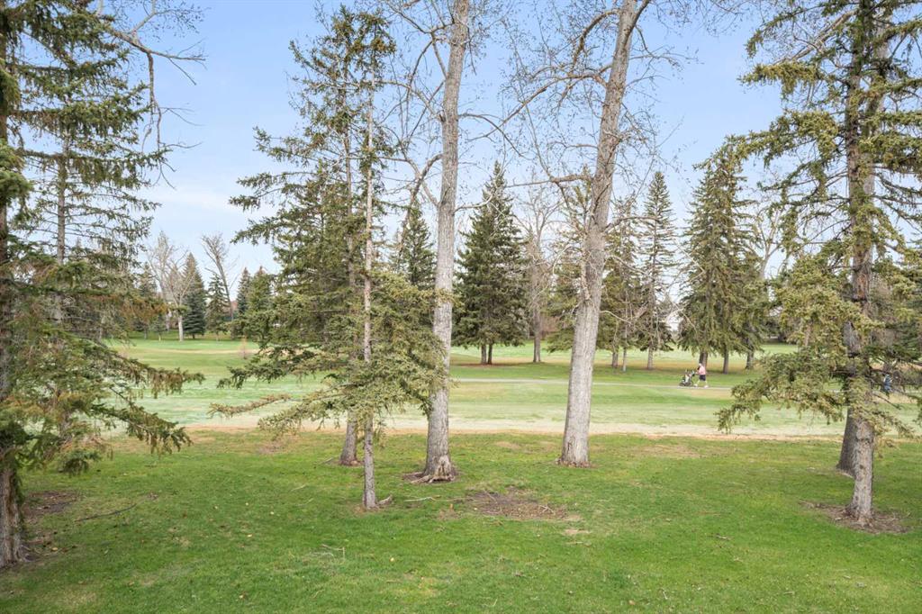 11010 Bonaventure Drive SE #1101 photo 2