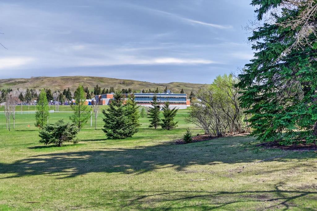 3811 24 Street NW photo 4