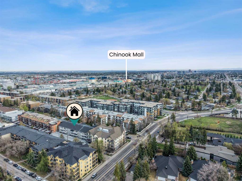 732 57 Avenue SW #201 photo 3