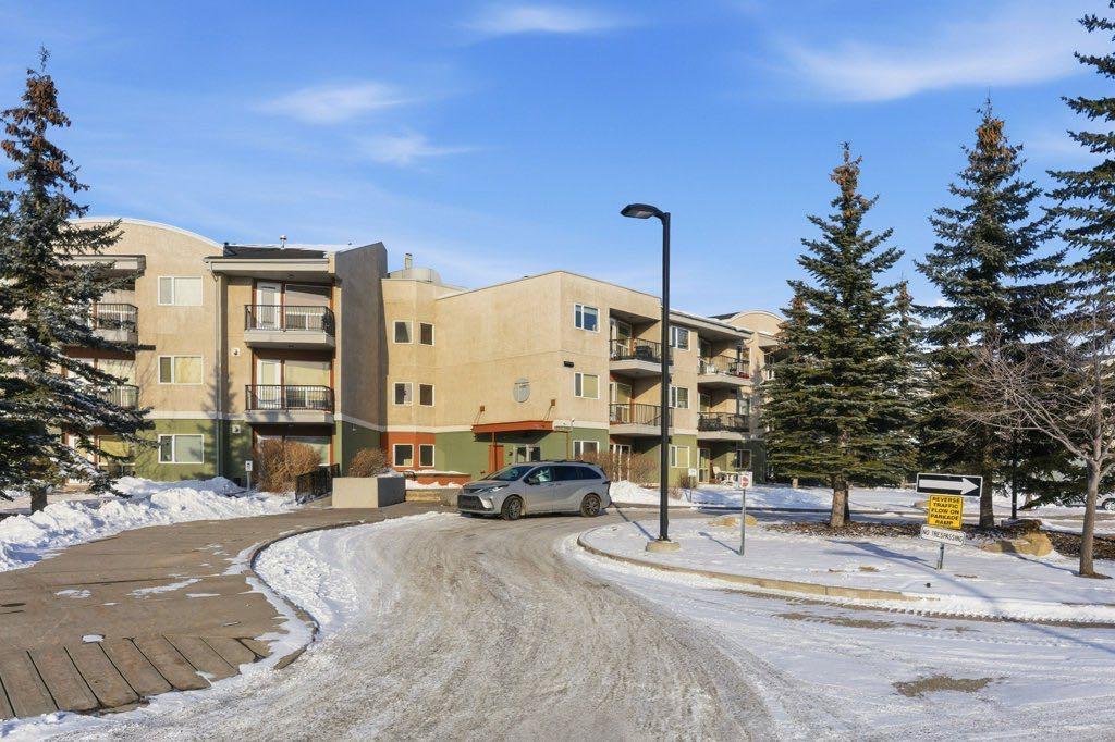69 Springborough Court SW #210 photo 3
