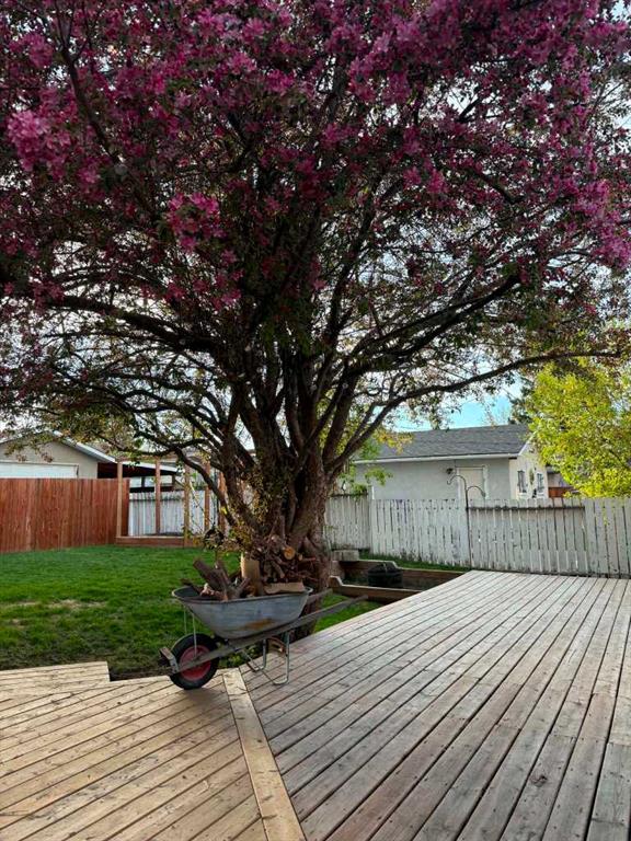 1203 34 Street SE photo 3