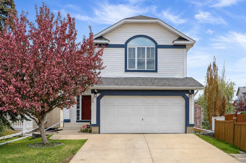 36 Mt Selkirk Close SE