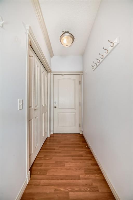 333 Riverfront Avenue SE #115 photo 3