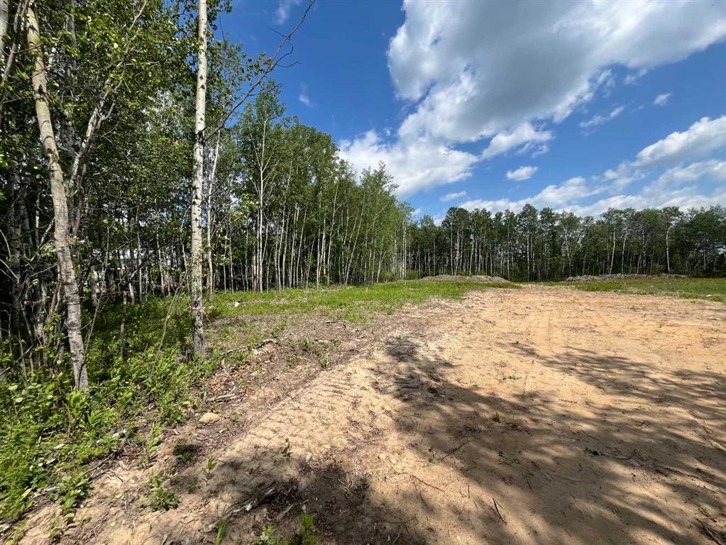 110 Tawatinaw Drive