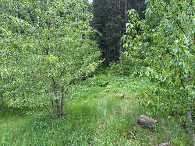 229 Mountain Lion Drive