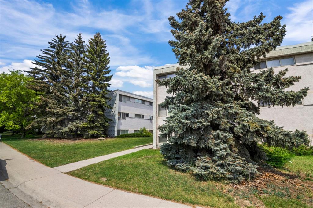 8607 Elbow Drive SW #104 photo 3