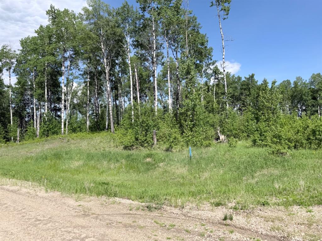 Block 1 Lot 6 Elk Ridge Estates