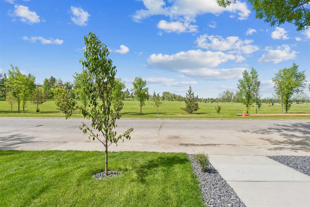 1025 32 Avenue NW photo 5